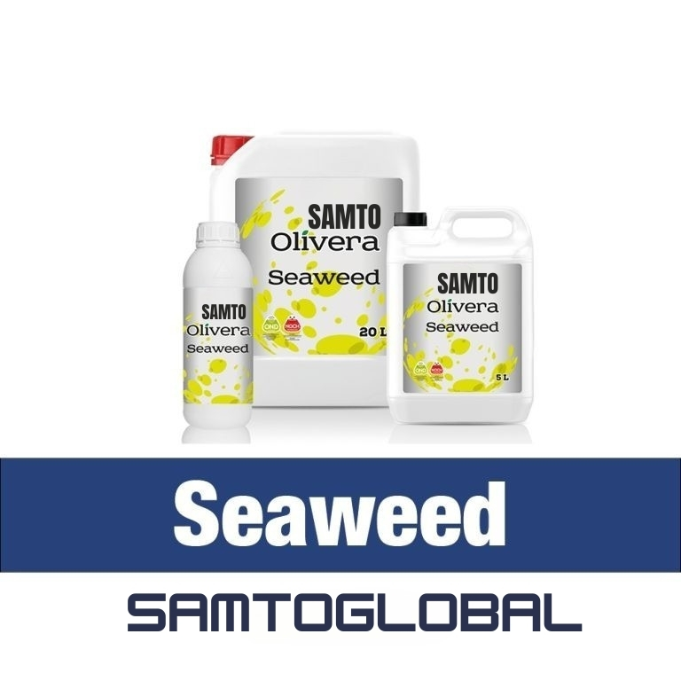 SAMTO SEAWEED