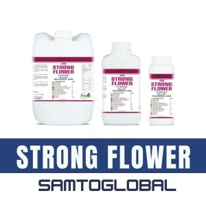 SAMTO STRONG FLOWER